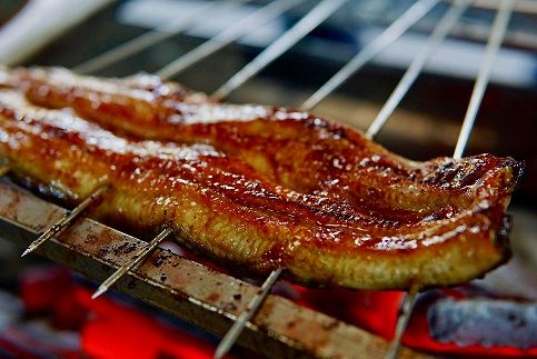 横山桂一さんのS級鰻　大10尾（1.5Kｇ） 464686_AW017