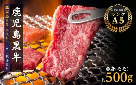 y蒬zYјa@Ԑgijēp 464686_BA13