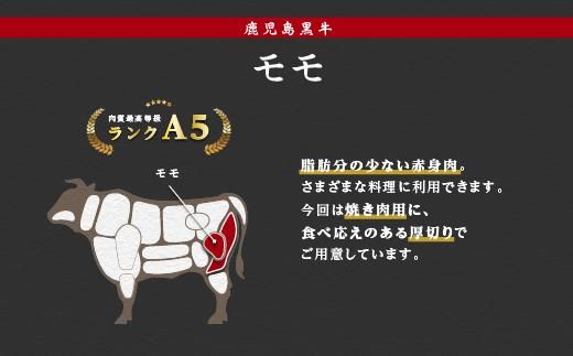 鹿児島県産黒毛和牛　赤身（モモ）焼肉用 464686_BA13