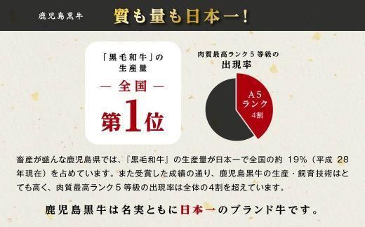 鹿児島県産黒毛和牛　霜降（ロース・カルビ）赤身（モモ）焼き肉用 464686_BA14