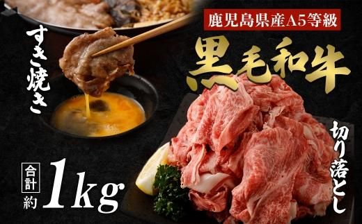 y蒬zyYјaZbgzEo₫p؂藎Ƃ 464686_BA21