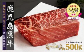 【7営業日以内発送】《前田牧場直営》鹿児島黒牛～ランプ肉（モモ）ブロック（約500g）～ 464686_BA25