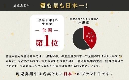 鹿児島県産黒毛和牛切り落とし 464686_BA27