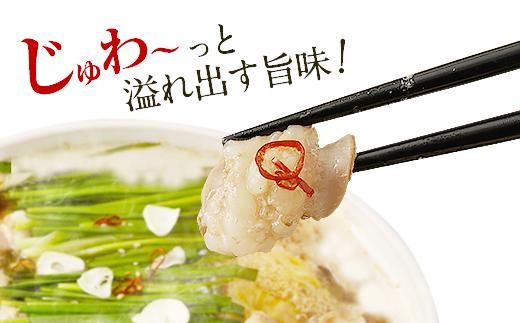 焼き肉屋さんのもつ鍋セット 464686_BA28