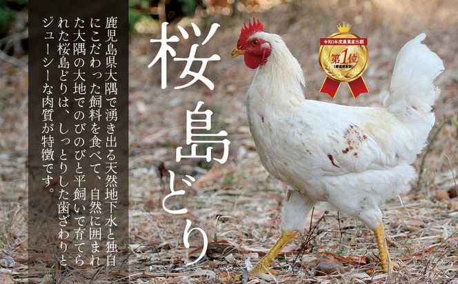 鹿児島県産　桜島どり（むね肉）2kg 464686_BA31