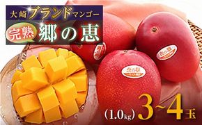 【ご家庭用3-4玉（1.0kg）】大崎完熟マンゴー「郷の恵（さとのめぐみ）」 464686_BD001