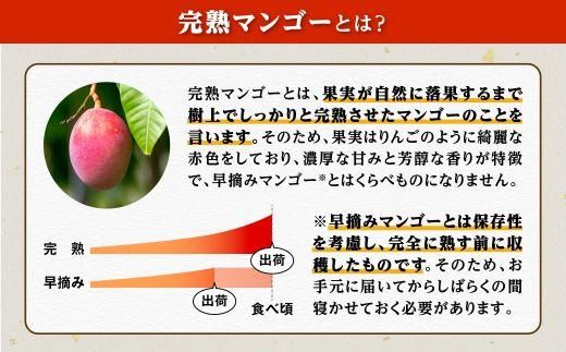 【ご家庭用4-5玉（1.5kg）】大崎完熟マンゴー「郷の恵（さとのめぐみ）」 464686_BD005