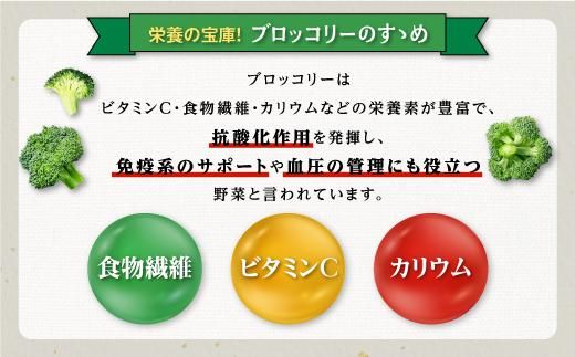 鹿児島県産　冷凍ブロッコリー　200g×8パック 464686_BZ003