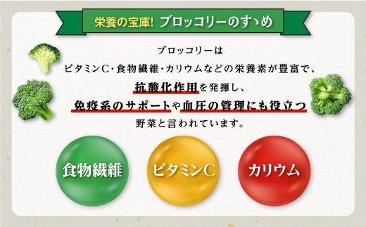鹿児島県産　冷凍ブロッコリー　200g×8パック 464686_BZ003