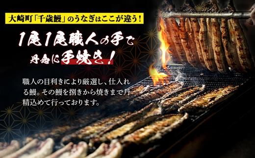 鹿児島県大隅産　千歳鰻の白焼3尾・蒲焼き3尾 464686_CH122