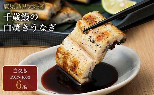 y蒬zY@ΉV̔ĉV@6 464686_CH154