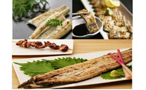 鹿児島県大隅産　千歳鰻の白焼鰻　1kg　（7尾入り） 464686_CH155