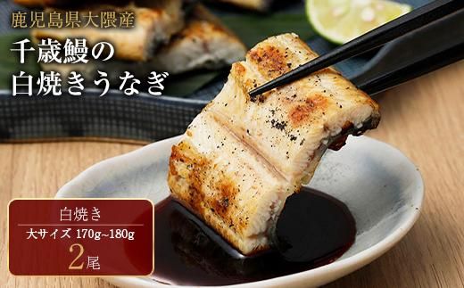 y蒬zY@ΉV̔ĉVuv2 464686_CH159