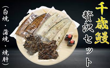 鹿児島県大隅産　千歳鰻・贅沢セット（白焼・蒲焼・焼肝） 464686_CH189