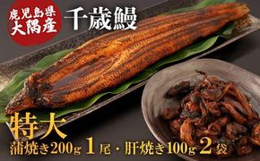 鹿児島県大隅産　特大うなぎ蒲焼200g 1尾・鰻の肝焼き100g×2袋 セット 464686_CH194