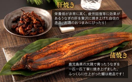 鹿児島県大隅産　特大うなぎ蒲焼200g 1尾・鰻の肝焼き100g×2袋 セット 464686_CH194