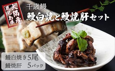 鹿児島県大隅産 千歳鰻の白焼き鰻 5尾・鰻焼肝セット 464686_CH94