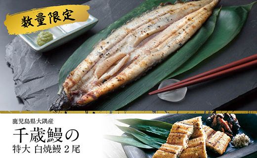 鹿児島県大隅産 千歳鰻の★特大★白焼鰻 2尾[数量限定] 464686_CH97