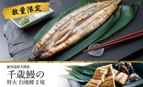 鹿児島県大隅産 千歳鰻の★特大★白焼鰻　2尾【数量限定】 464686_CH97