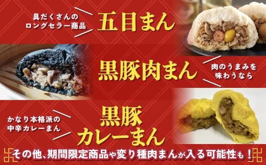 年内発送【神楽坂五〇番】おかめ肉まんバラエティセット　計15個～20個程度  (４～５種類) 464686_CW24