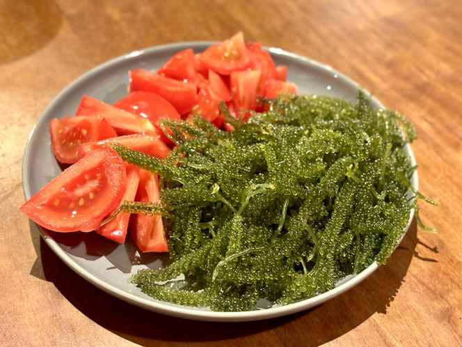 【発送は4月以降】海の幸　朝採れぷちぷち海ぶどう 朝採れ新鮮 海ぶどう～MOBAKO育ちのSEAGRAPES！？～ 464686_DH001