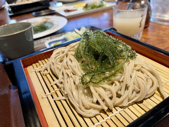 海の幸　朝採れぷちぷち海ぶどう 朝採れ新鮮 海ぶどう～MOBAKO育ちのSEAGRAPES！？～ 464686_DH001