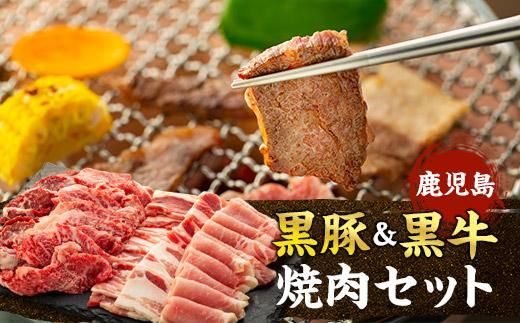 y蒬z؁EēZbg 464686_H602