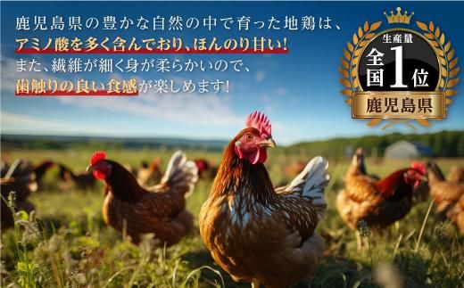 【鹿児島県産】地鶏食べ尽くしセット（鶏さし（半身）・ごて焼き・炭火焼鳥） 464686_H604