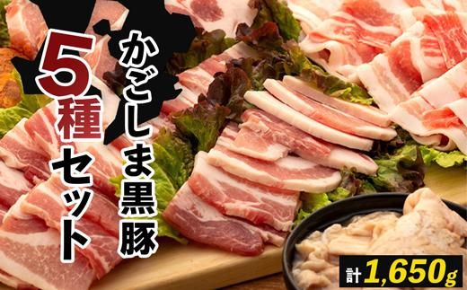 y蒬z܍؃Zbg 464686_H605
