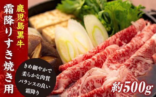 y蒬z~肷Ăp 464686_H619