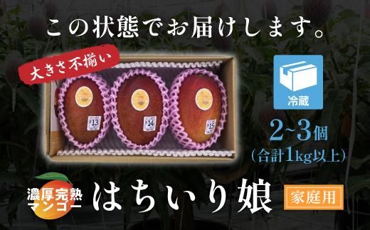 【数量限定/先行予約】マンゴー「はちいり（鉢入り）娘」（ご家庭用1kg箱入り） 464686_J602