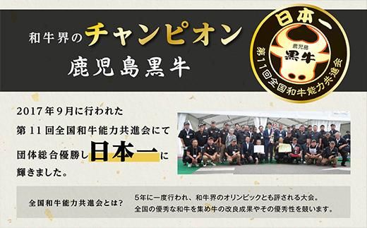 【年内発送】（D-3501）鹿児島黒牛ウデスライスセット（900g） 464686_JA011