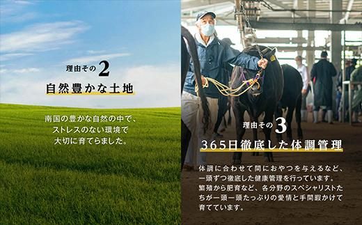 【年内発送】（D-3501）鹿児島黒牛ウデスライスセット（900g） 464686_JA011