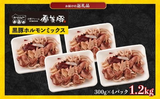 鹿児島県産黒豚「優美豚」黒豚ホルモンミックス　1.2kg（300ｇ×4個） 464686_M631