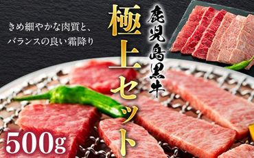 鹿児島黒牛極上セット（焼肉）500ｇ/1パック 464686_U603