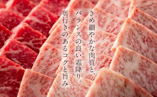 鹿児島黒牛極上セット（焼肉）500ｇ/1パック 464686_U603