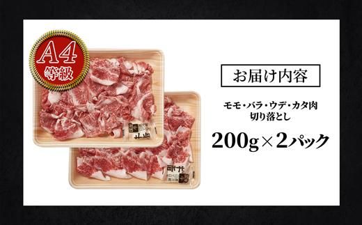 鹿児島黒牛特選「黒毛和牛」切り落とし 464686_U616