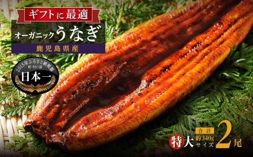 泰正オーガニックうなぎ蒲焼 特大2尾 464686