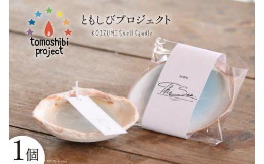y{錧CszC̊CC[WLh KOIZUMI Shell Candle 1 [Nr.12iƂуvWFNgj {錧 Cs 20563585] Lh  킢 JCC