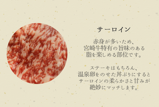 宮崎牛 サーロインステーキ 400g 黒毛和牛 肉質等級 4等級以上　N0136-ZB036