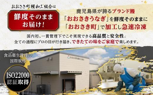 鹿児島県産うなぎまぜご飯の素　2食入り×3袋 464686_A646