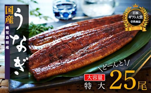 y蒬zǁ[Ƃ͂I25@Y 464686_A662