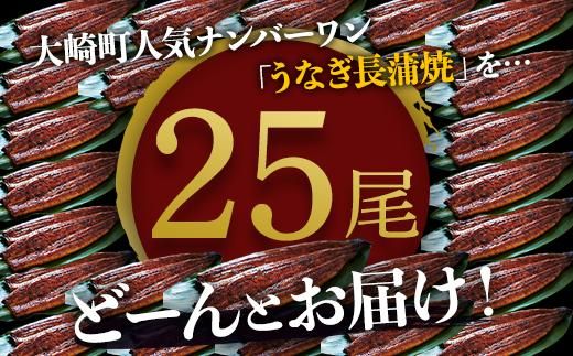 どーんとお届け！特大25尾　鹿児島県産長蒲焼 464686_A662