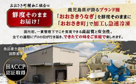 【定期便】おおさきうなぎ鹿児島県産うなぎ長蒲焼2尾（全6回）合計12尾 464686_A665