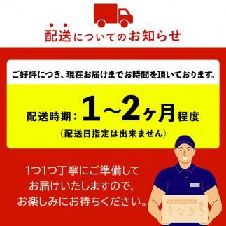 【数量限定】鹿児島県産うなぎ長蒲焼3尾　 (合計300g以上) 464686_A911
