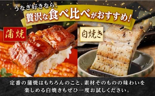 鹿児島県産うなぎ長蒲焼 白焼き・蒲焼セット 合計2尾 464686_A924