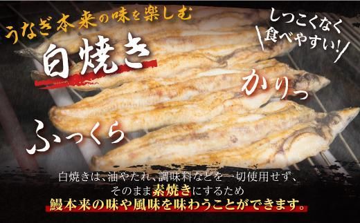 鹿児島県産うなぎカット白焼き6袋 計300g以上（パック個包装） 464686_A925