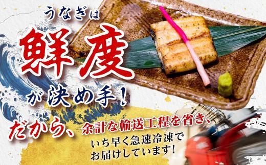 鹿児島県産うなぎカット白焼き6袋 計300g以上（パック個包装） 464686_A925