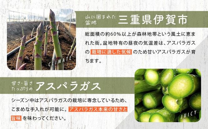 【先行受付】朝採りアスパラガス（約1kg）／2026年4月上旬～5月中旬お届け 242161_AA001