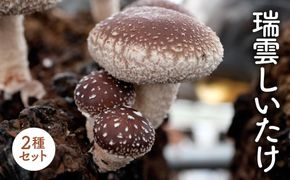 瑞雲しいたけ2種セット／2025年10月～2026年2月上旬頃お届け 242161_AA002